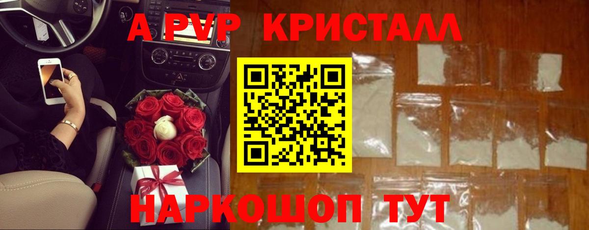 Альфа ПВП СК Камышин