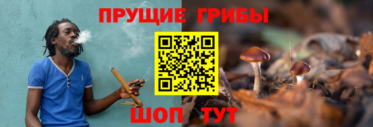 Галлюциногенные грибы мухоморы Камышин